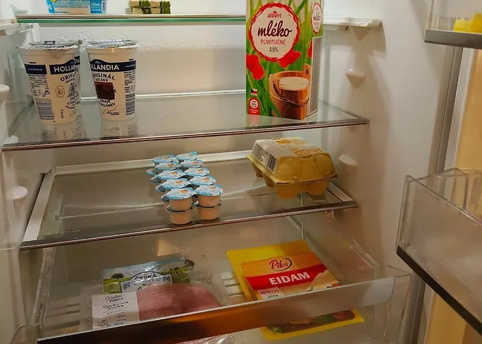 Sunny 公寓 布拉格